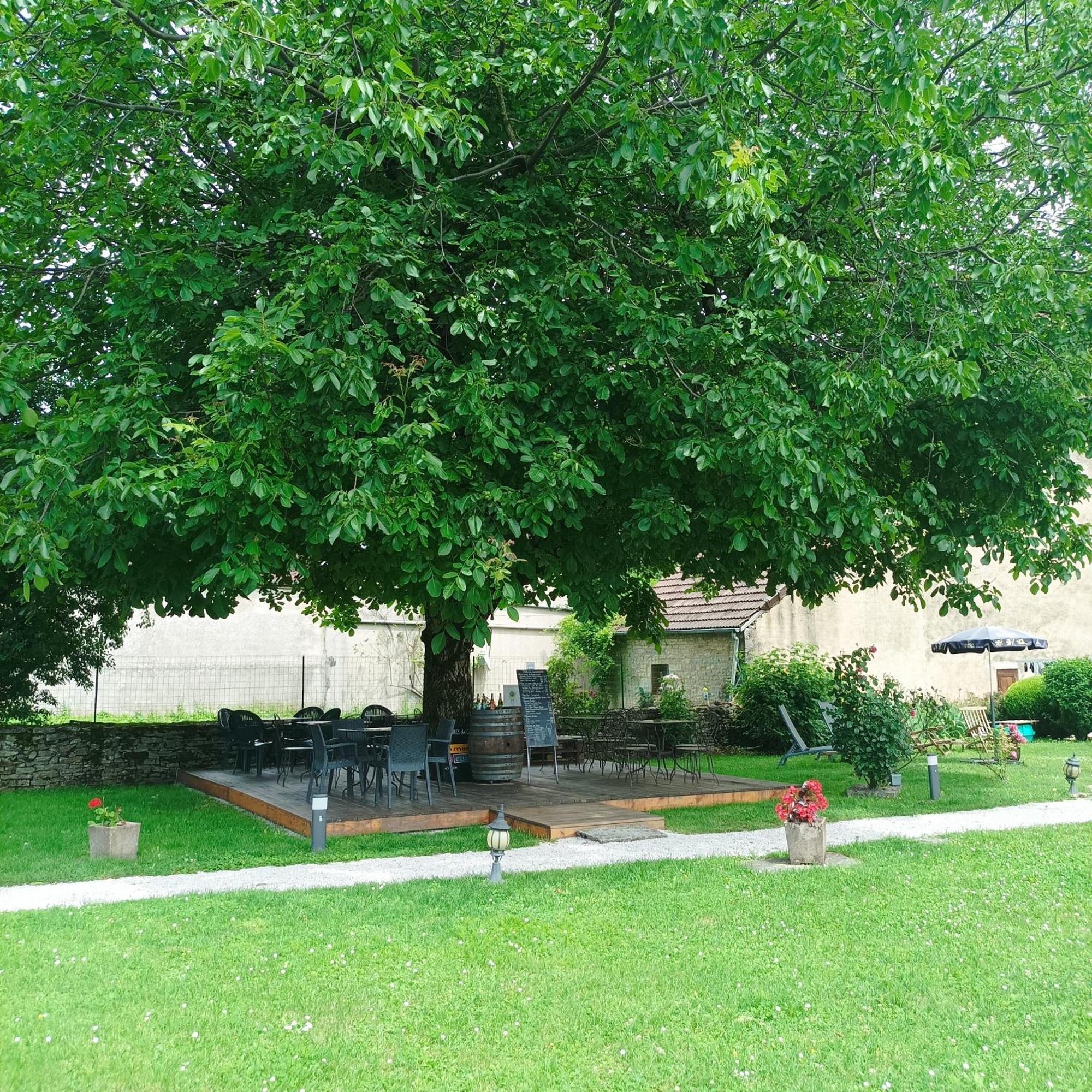 Maison D'Eusebia Château-Chalon Exteriör bild